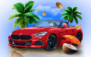 Summer Bonanza